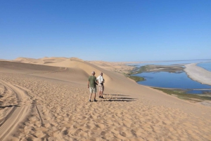 From Walvis Bay: Sandwich Harbour World Heritage Site