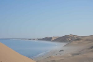 From Walvis Bay: Sandwich Harbour World Heritage Site
