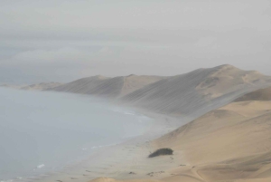 From Walvis Bay: Sandwich Harbour World Heritage Site