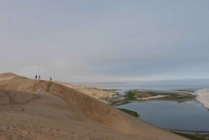 From Walvis Bay: Sandwich Harbour World Heritage Site
