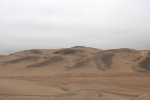 From Walvis Bay: Sandwich Harbour World Heritage Site
