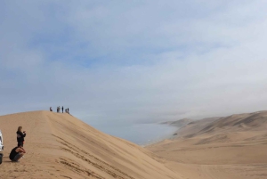 From Walvis Bay: Sandwich Harbour World Heritage Site