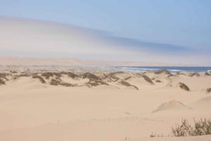From Walvis Bay: Sandwich Harbour World Heritage Site