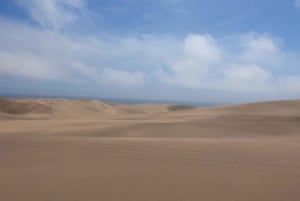 From Walvis Bay: Sandwich Harbour World Heritage Site