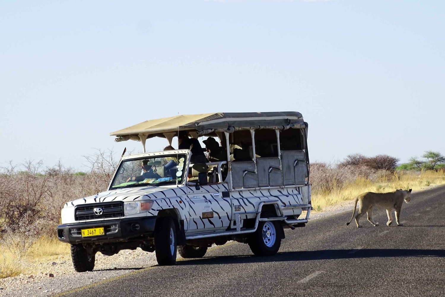 From Windhoek: 10-Day Namibia Highlights Tour with Lodging