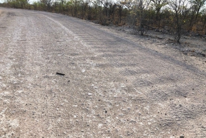 From Windhoek: 3-Day Etosha National Park Safari