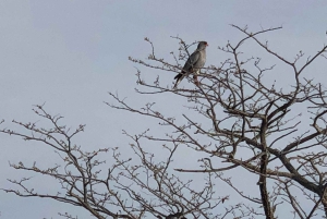 From Windhoek: 3-Day Etosha National Park Safari