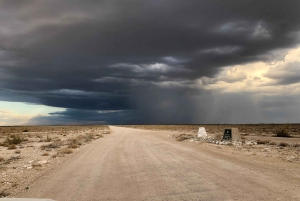 From Windhoek: 3-Day Etosha National Park Safari