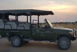 From Windhoek: 8-Day Namibia Adventure Tour with Meals