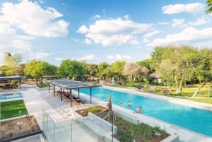 From Windhoek: 8-Day Namibia Adventure Tour with Meals