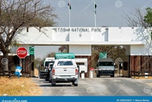 From Windhoek: Guided 1-Day Etosha National Park Safari Tour