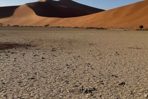 From Windhoek & Swakop: Namib Desert 2-Night Tour with Meals
