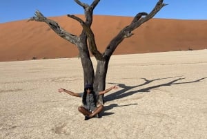 From Windhoek & Swakop: Namib Desert 2-Night Tour with Meals
