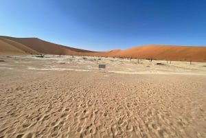From Windhoek & Swakop: Namib Desert 2-Night Tour with Meals