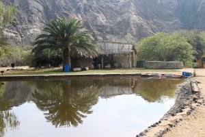 Goanikontes Oasis Rest Camp