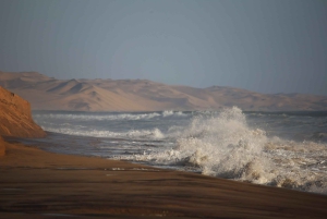 Golden Hour at Sandwich Harbour, Walvis Bay with Escapades