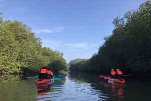 Half day Adventure Kayaking at Mangrove forest