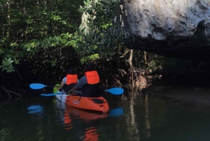 Half day Adventure Kayaking at Mangrove forest