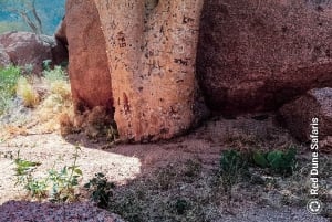 Iconic Spitzkoppe : via Zeila Shipwreck