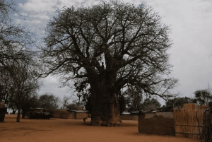 Impalila Island Cultural Tour: Caprivi Strip