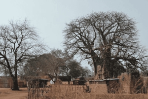 Impalila Island Cultural Tour: Caprivi Strip