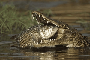 Impalila Island Cultural Tour: Caprivi Strip