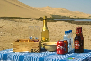 Kayaking amongst the seals and Sandwich Harbour- Combo Tour