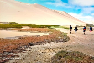 Kayaking amongst the seals and Sandwich Harbour- Combo Tour