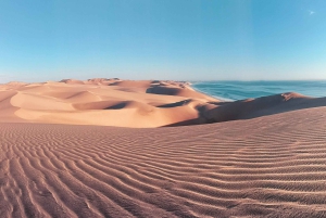 Kayaking amongst the seals and Sandwich Harbour- Combo Tour
