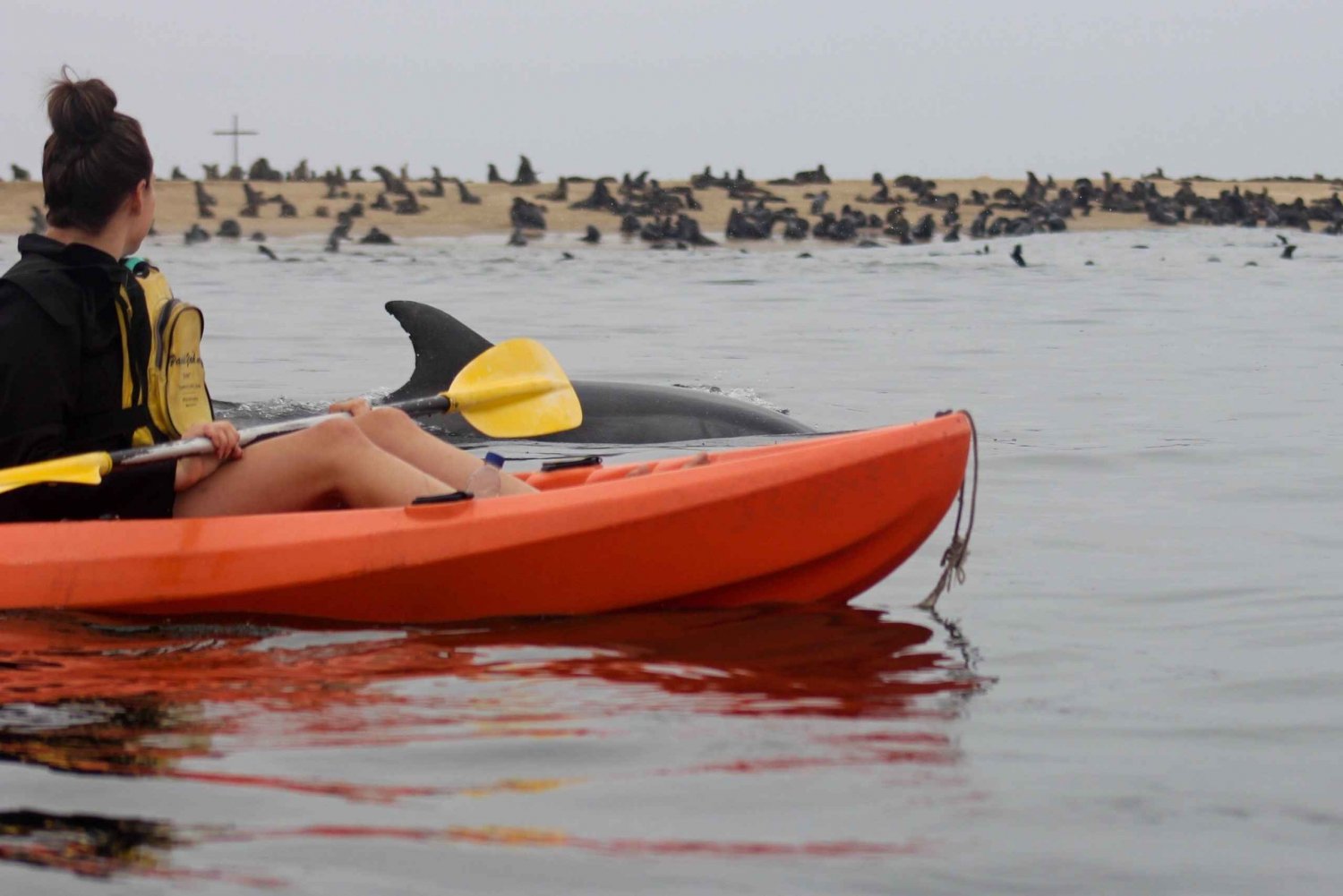 Kayaking and Sandwich Harbour Combo Tour