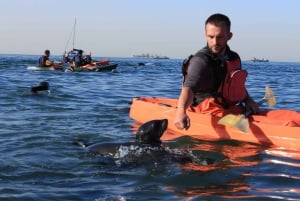 Kayaking and Sandwich Harbour Combo Tour