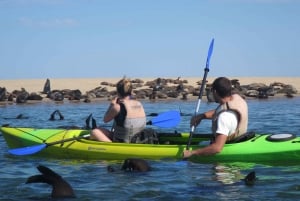 Kayaking and Sandwich Harbour Combo Tour