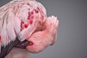 Meet the Seals at Pelican Point Peninsula