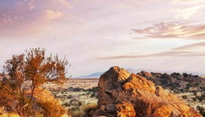 Best Safari Companies Namibia