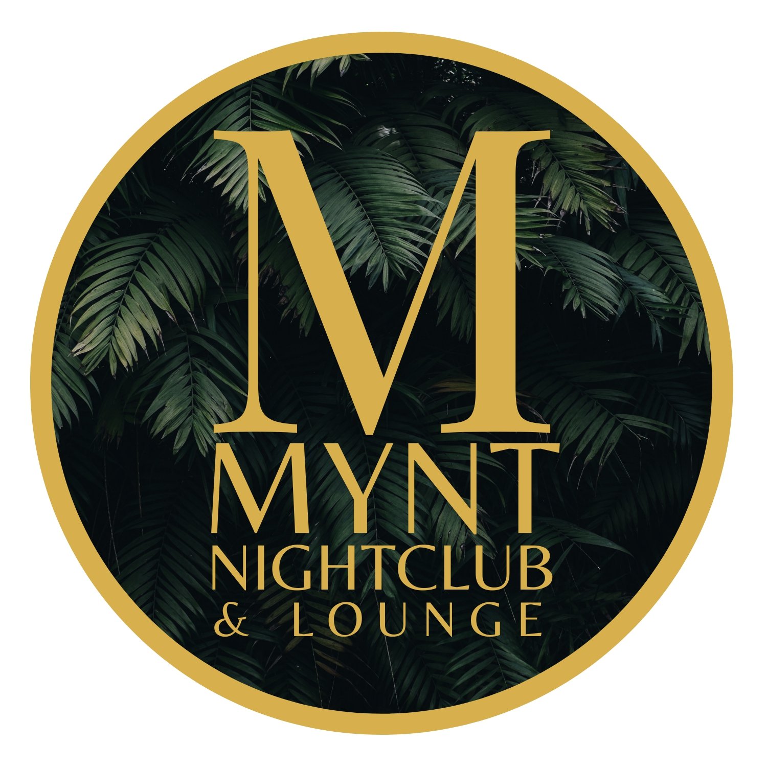 Mynt Nightclub and Lounge