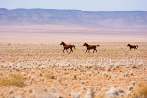 Namib Desert Horseback Ride