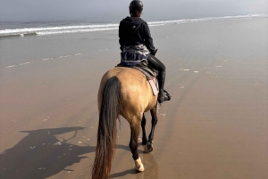Namib Desert Horseback Ride