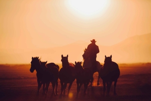 Namib Desert Horseback Ride