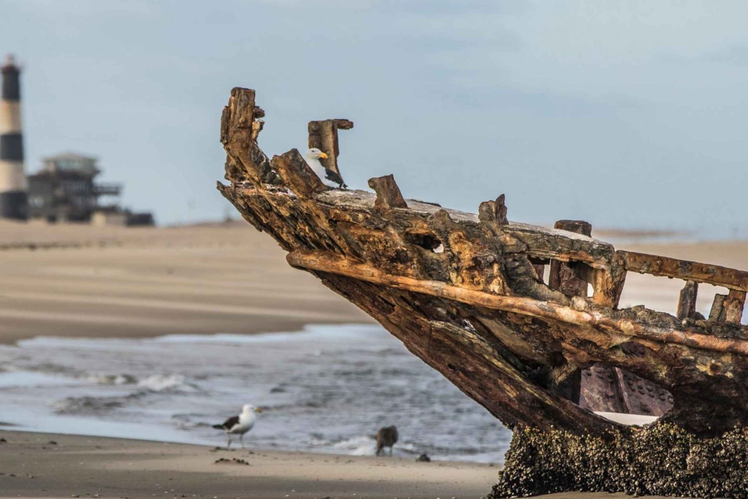 Namib Desert: Pink Salt Lakes, Seal Colony & Moon Valley