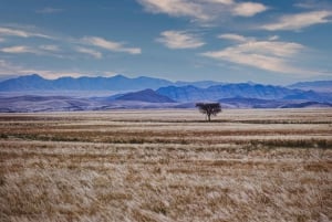 Namib Naukluft Park Landscape, Mountains & Wildlife Day Tour