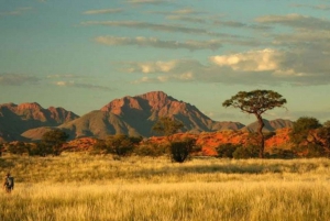 Namib-Naukluft park: Transport and tour to Naukluft park