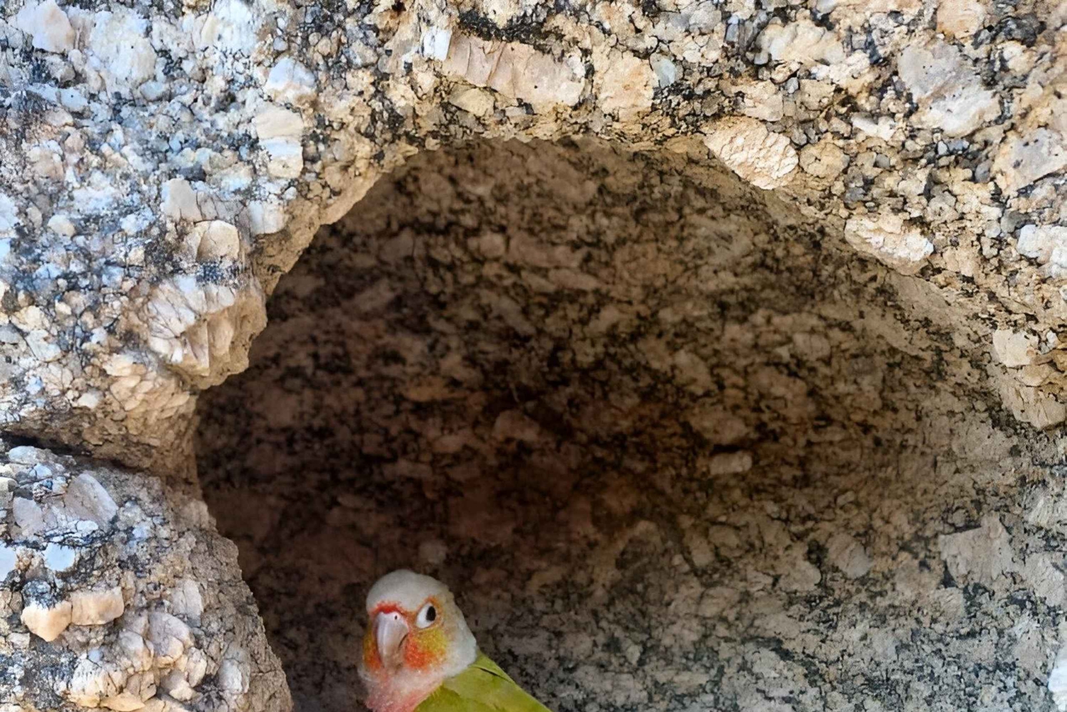 Namib Naukluft Park Trip