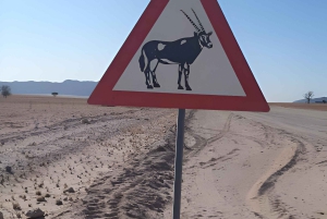 Namib Naukluft Park Trip