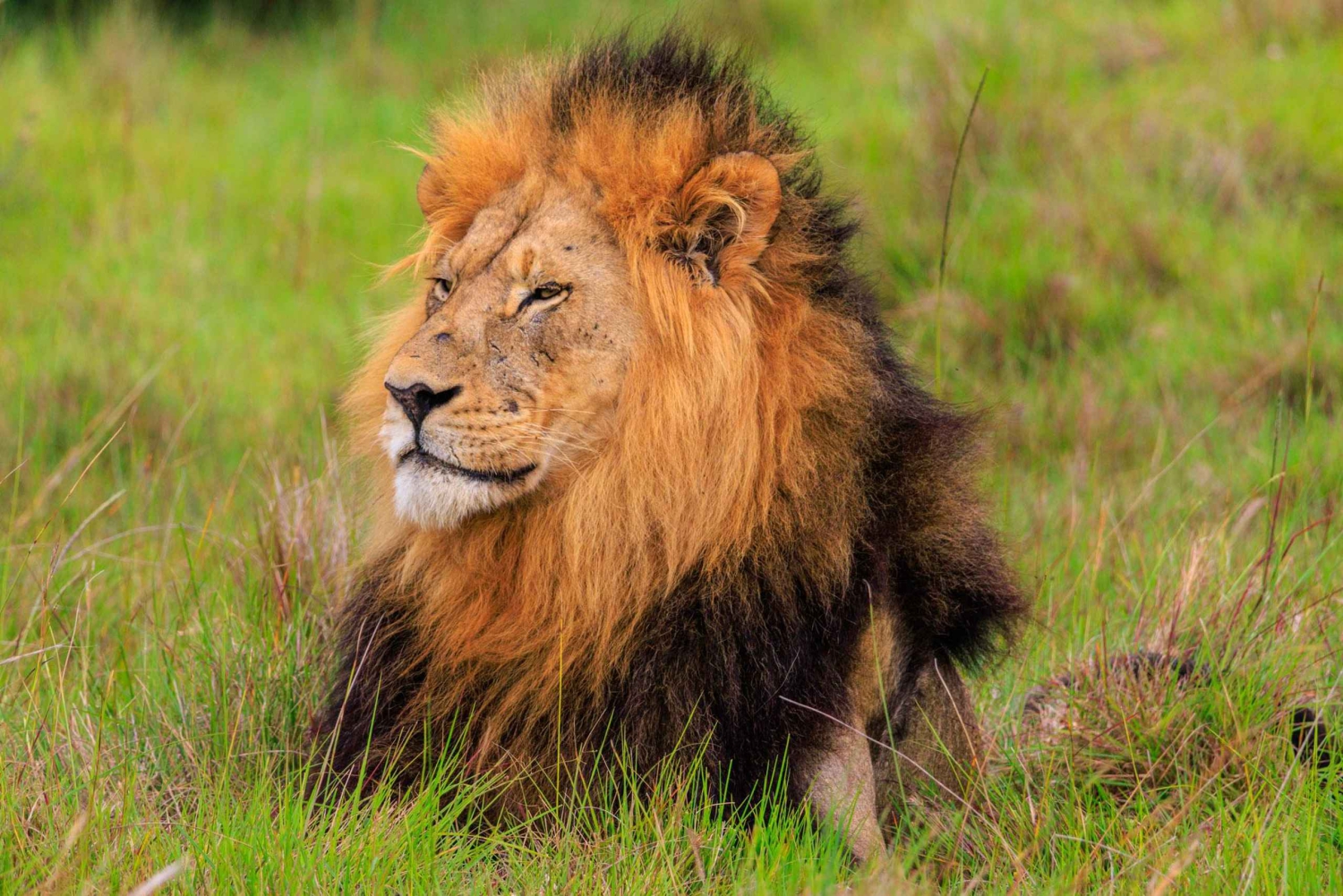 Namibia: 10 Days Guided Tour