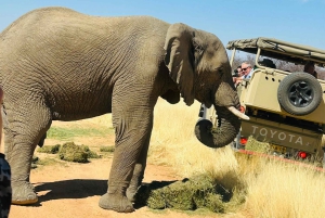 Namibia: 10 Days Guided Tour