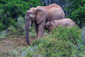 Namibia: 10 Days Guided Tour