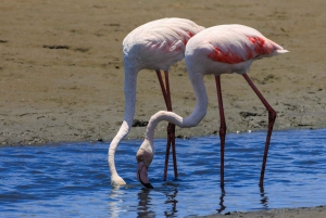 Namibia: 10 Days Guided Tour