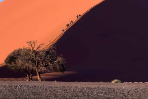 Namibia: 13-Day Tour with Game Drives and Hot Air Balloon