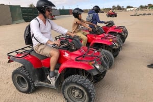 Namibia: 6-Day Guided Tour