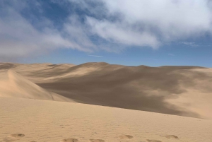 Namibia; Classic Sandwich Harbour Tour